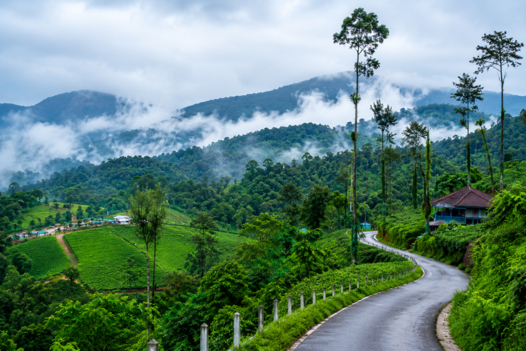 Coorg