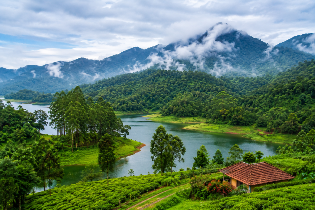 Wayanad